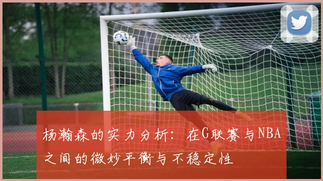 杨瀚森的实力分析：在G联赛与NBA之间的微妙平衡与不稳定性