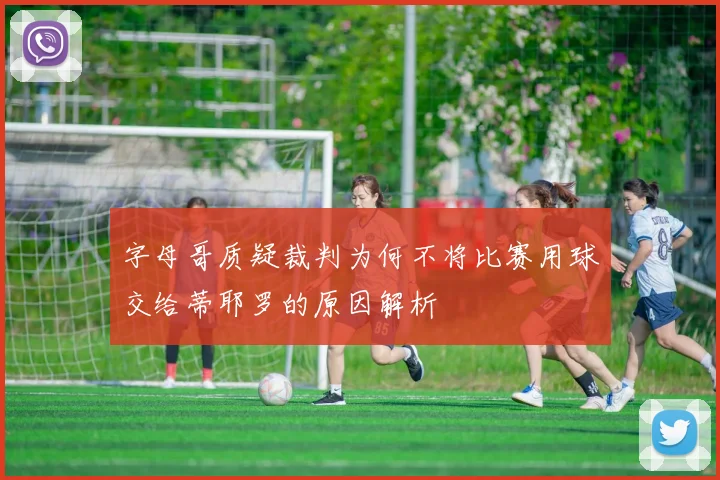 字母哥质疑裁判为何不将比赛用球交给蒂耶罗的原因解析