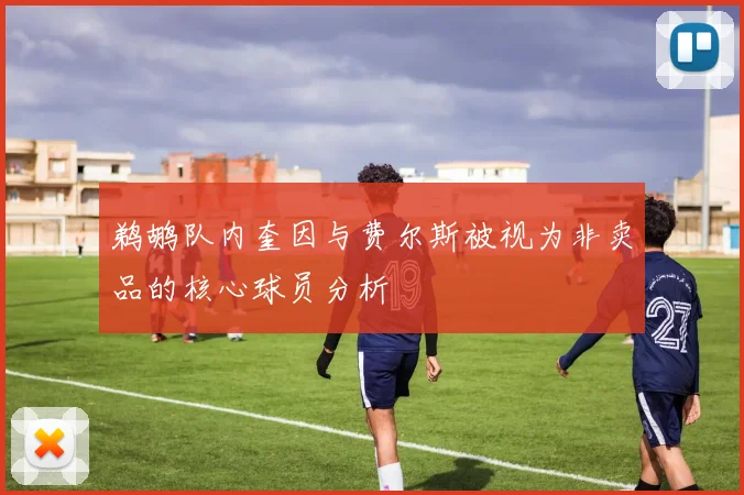 鹈鹕队内奎因与费尔斯被视为非卖品的核心球员分析