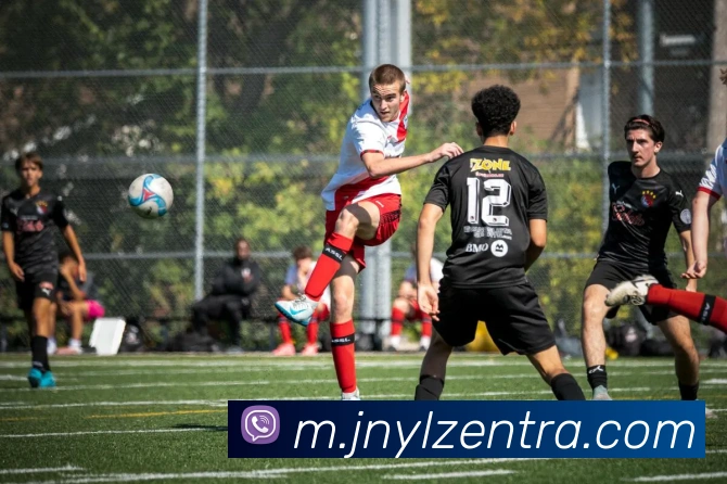 江南娱乐APP 封面图